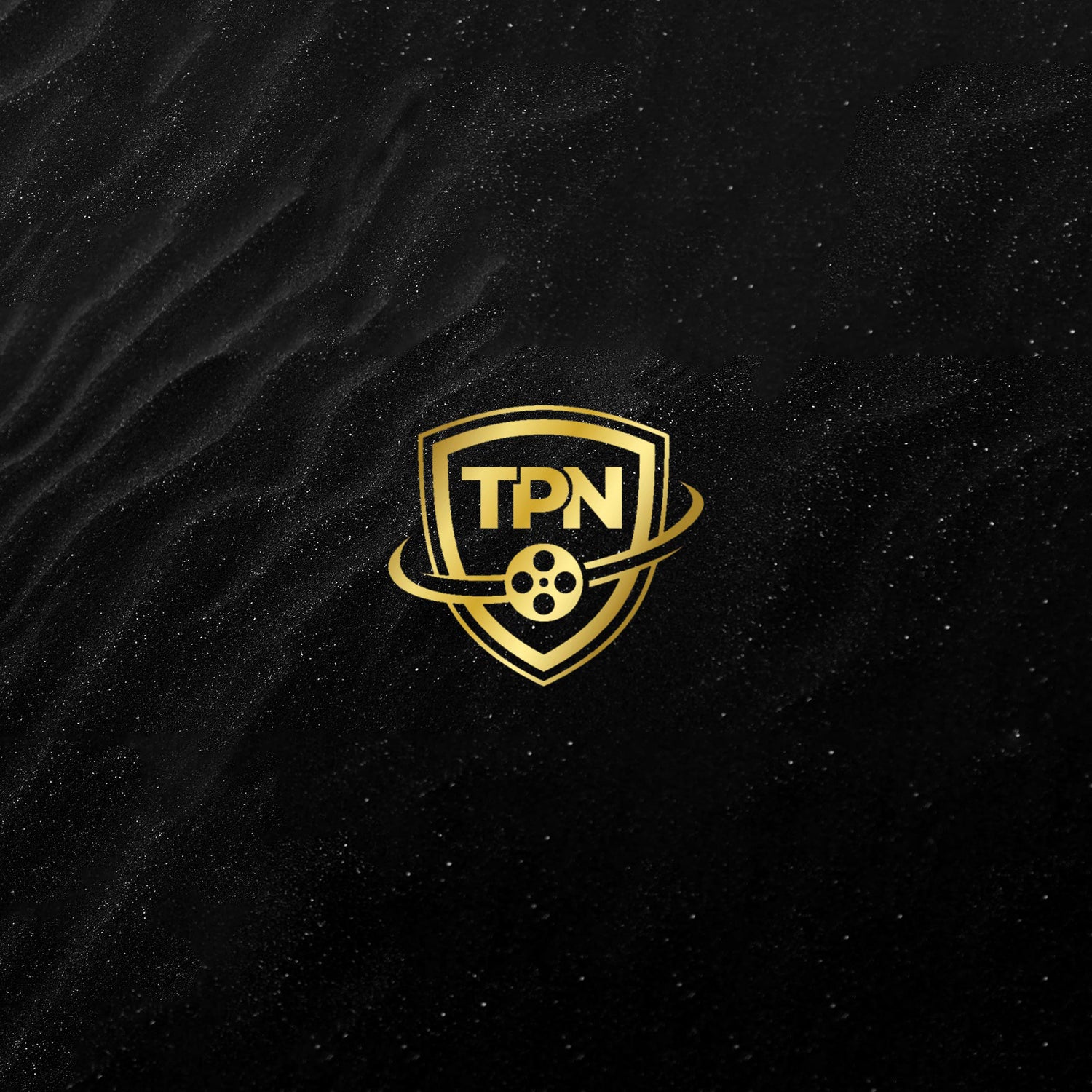 Studio Ulu Earns the TPN Gold Shield Badge!